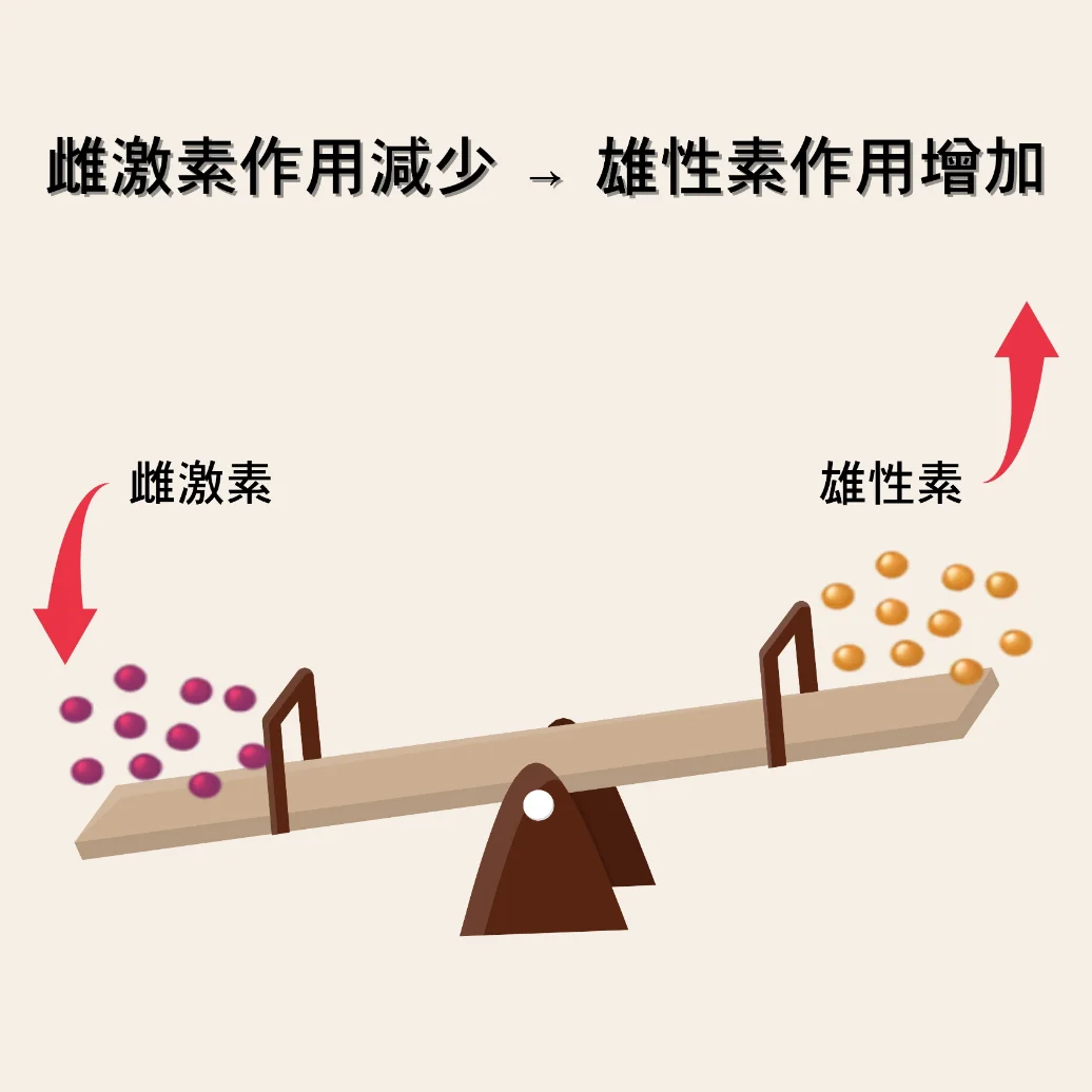 女性雄性禿頭皮變化示意圖